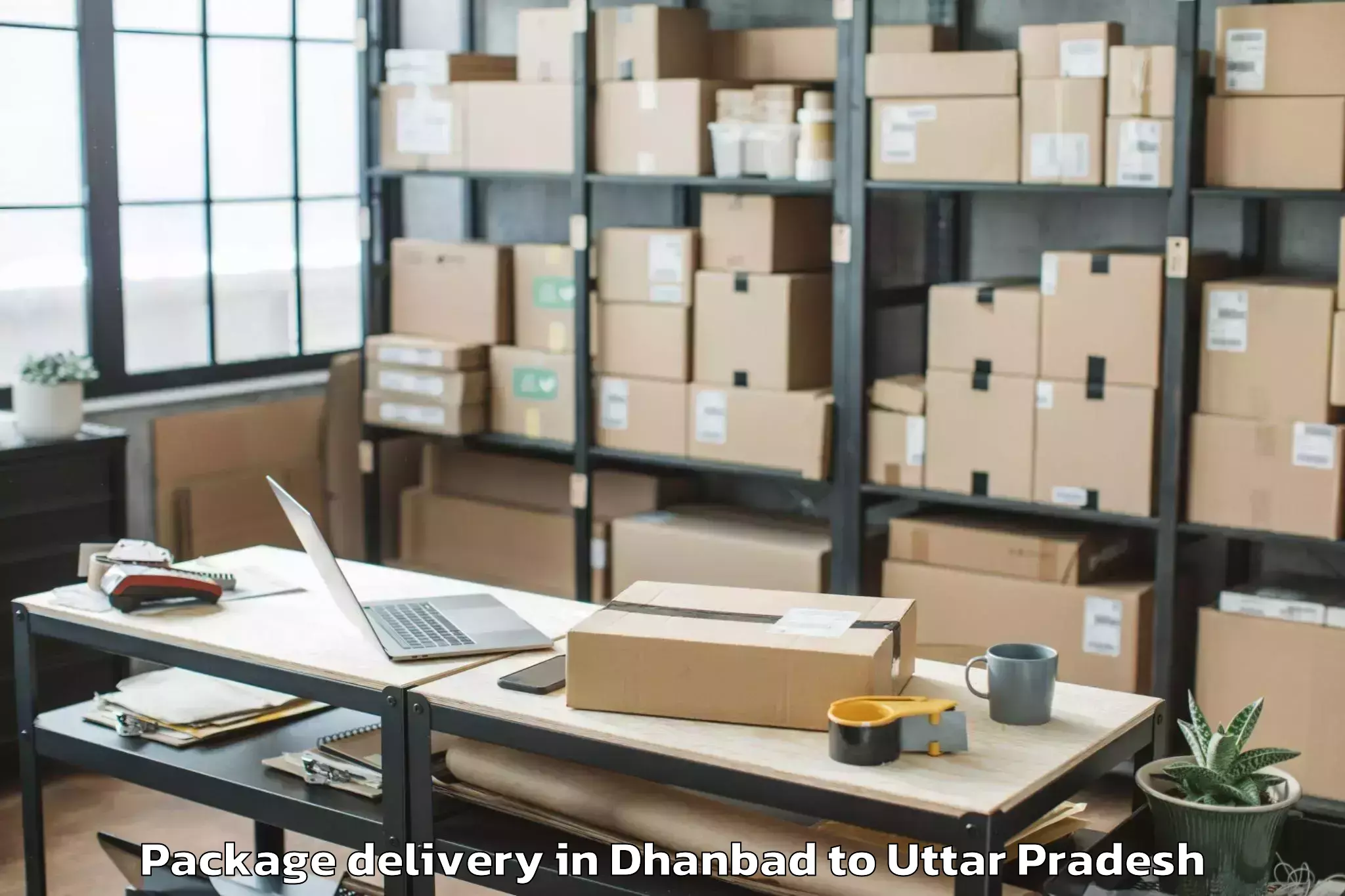 Hassle-Free Dhanbad to Bhadohi Package Delivery